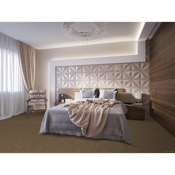 Dignified  - Palisades - Brown 16 oz. SD Polyester Texture Installed Carpet