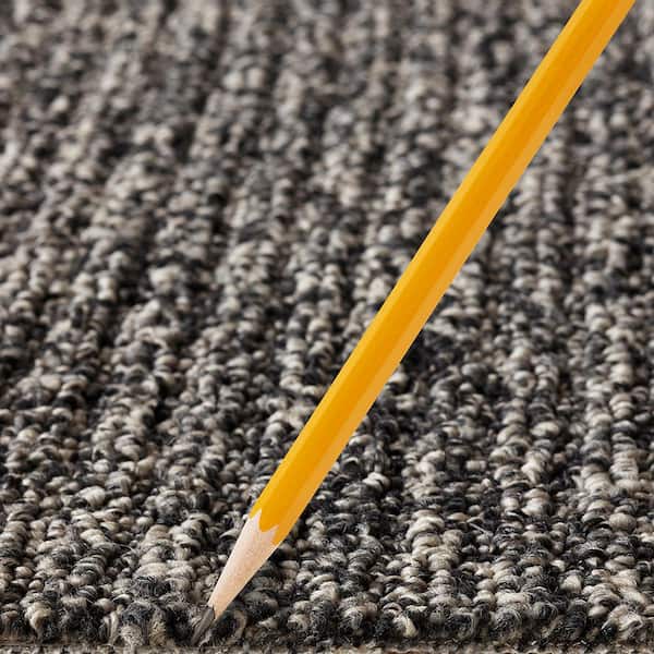 Finton  - Sea Lion - Gray 24 oz. SD Polyester Loop Installed Carpet