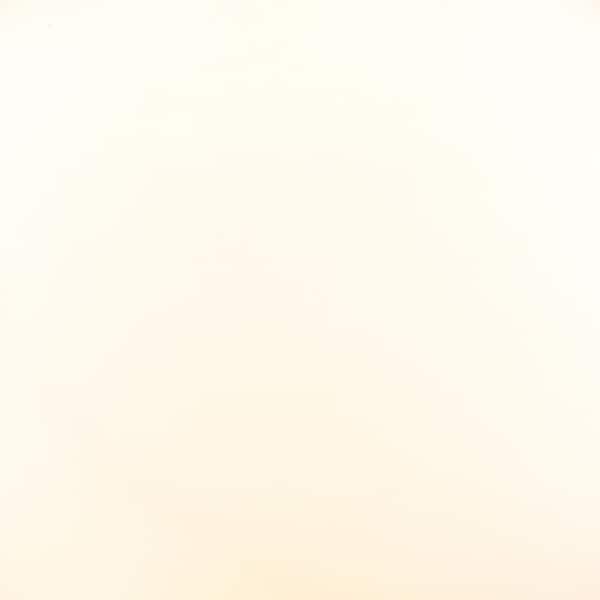 Clymer 1-Light Matte Black, Matte White Wall Sconce with Matte White Glass Shade