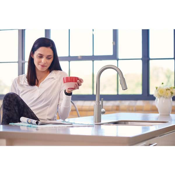 Genta LX Single-Handle Pull-Down Sprayer Kitchen Faucet with Reflex in Spot Resist Stainless