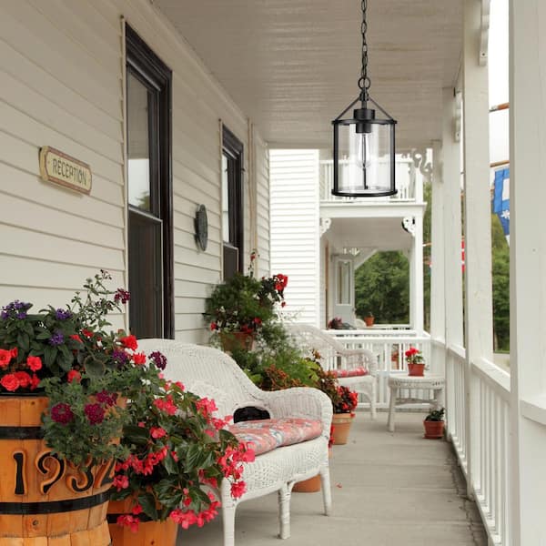 1-Light Black Outdoor Indoor Pendant with Clear Glass Shade, Vintage Incandescent Bulb Included