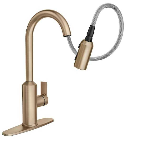 Meena Single-Handle Pull-Down Sprayer Kitchen Faucet with Power Clean and Reflex in Bronzed Gold