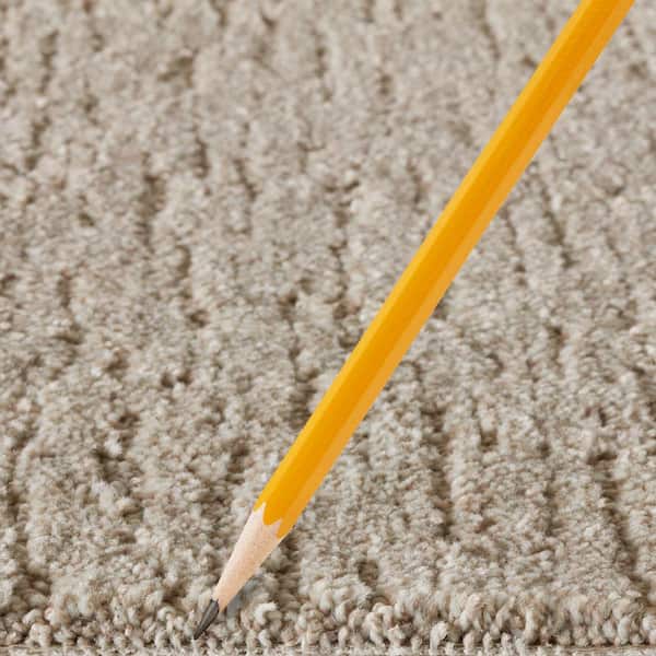 Chester  - Fine Silk - Beige 40 oz. Triexta Pattern Installed Carpet