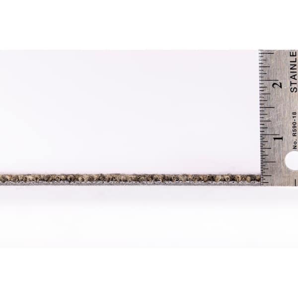 Newell Finley Residential/Commercial 24 in. x 24 in. Glue-Down Carpet Tile (18 Tiles/Case) (72 sq. ft.)