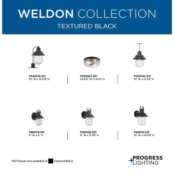 Weldon Collection 2-Light Textured Black Clear Seeded Glass Farmhouse Outdoor Ceiling Flush Mount Light