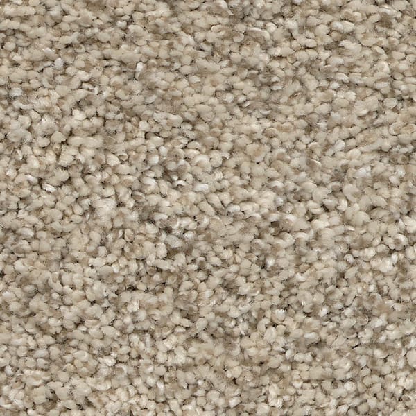 Nimble Creek - Lodge - Beige 32 oz. SD Polyester Texture Installed Carpet