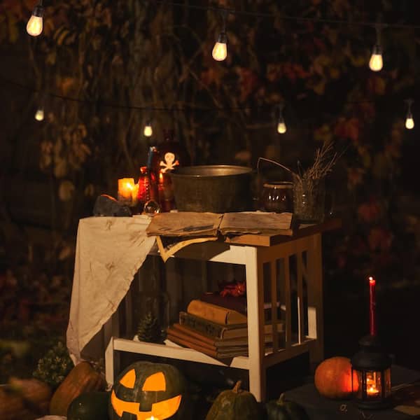 Ambience Pro 12-Light 27 ft. Outdoor Solar 1W 2700k LED S14 Hanging Edison Flame Bulb String-Light