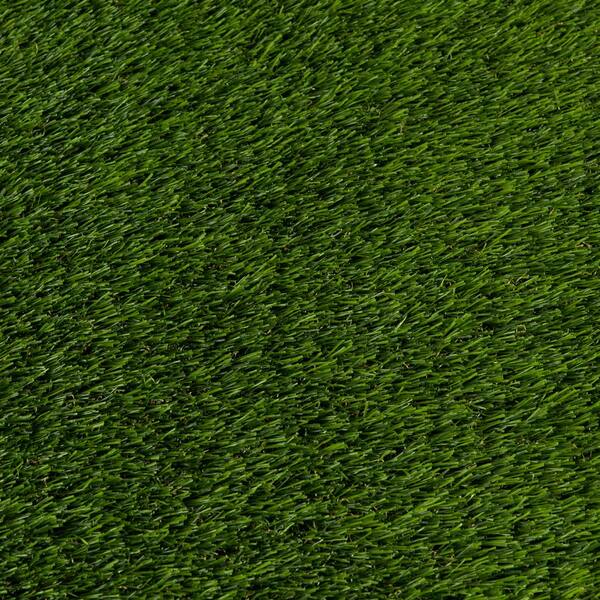 80 oz. Evolution 15 ft. Wide x Cut to Length Light Field Clover Artificial Grass
