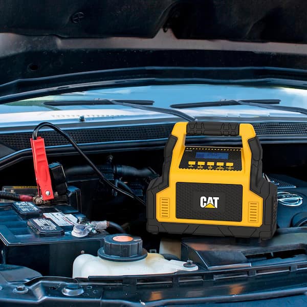 Professional 100 Amp Battery Charger & 3 Amp Maintainer