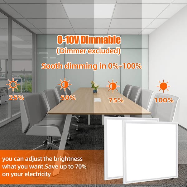 2 ft. x 2 ft. 5800 Lumens Integrated LED Panel Light, 5000K, Office Lighting (4-Pack)