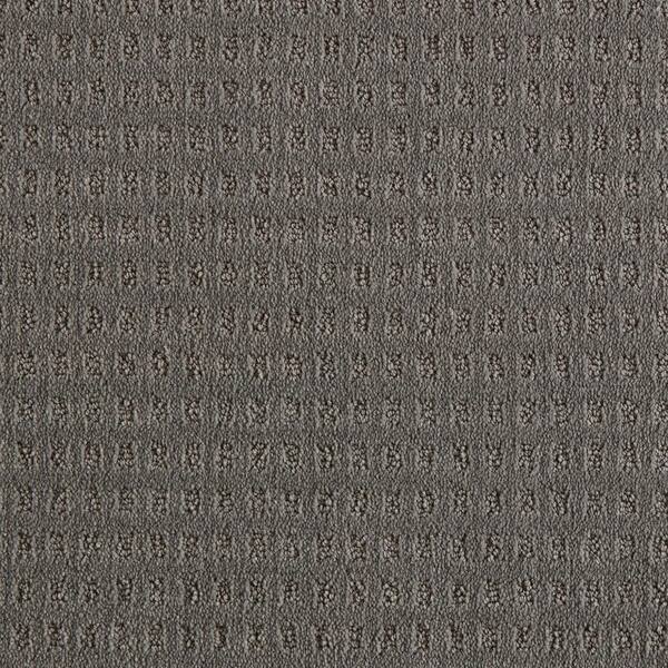 Canter  - Elemental - Gray 38 oz. Triexta Pattern Installed Carpet