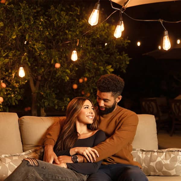 12-Light 24 ft. Outdoor/Indoor Black Plug-in ST64 Novelty Bulb LED String Light