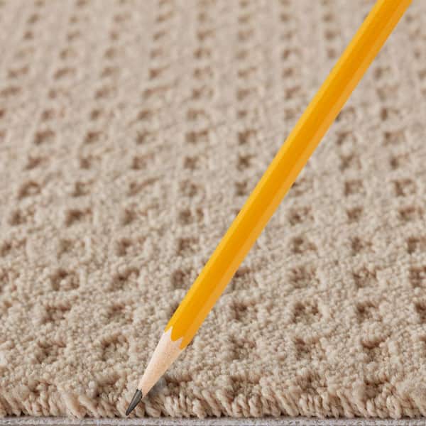 Canter  - Gypsy Moth - Beige 38 oz. Triexta Pattern Installed Carpet