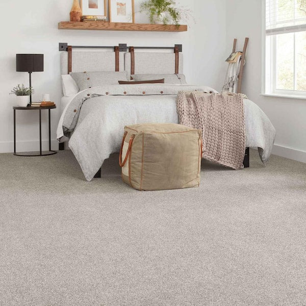 Tides Edge  - Biscuit - Brown 50 oz. Triexta Texture Installed Carpet