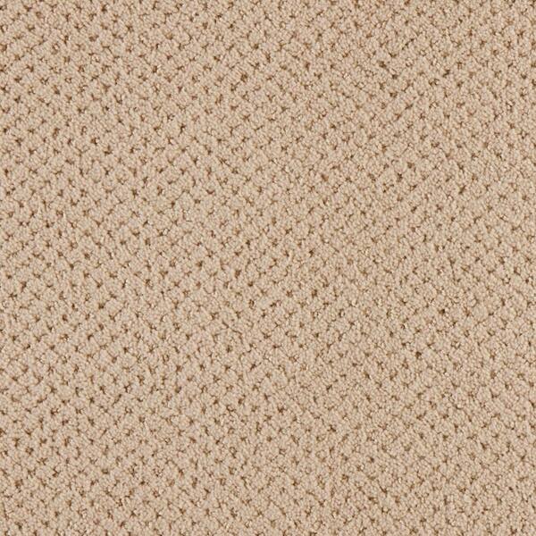 Pretty Penny  - Earth Tone - Beige 50 oz. Triexta Pattern Installed Carpet