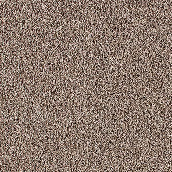 Huntcliff I Country Side Brown 31 oz. Triexta Texture Installed Carpet