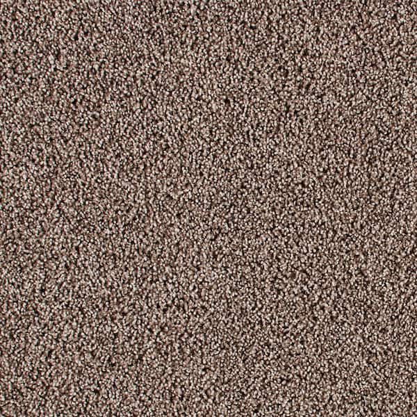 Huntcliff II Leather Bound Brown 39 oz. Triexta Texture Installed Carpet