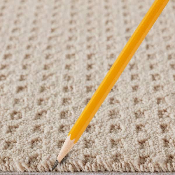 Canter  - Buffed - Beige 38 oz. Triexta Pattern Installed Carpet