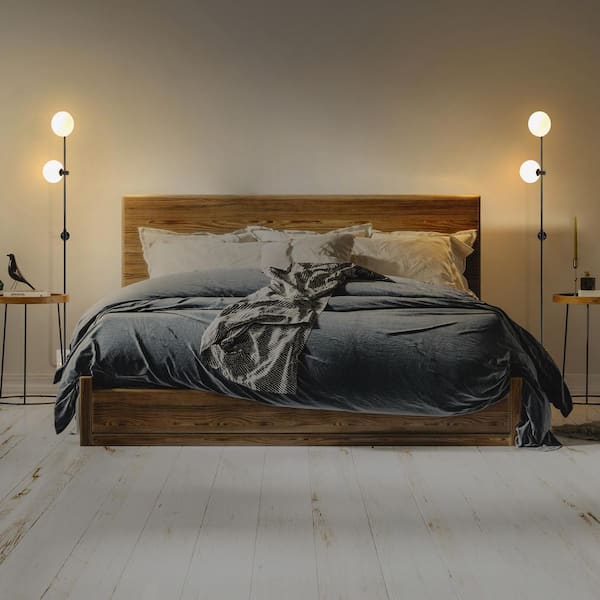 Equinox 62 in Black LED 2-Light Wall Sconce Lamp with Glass Globe Shades