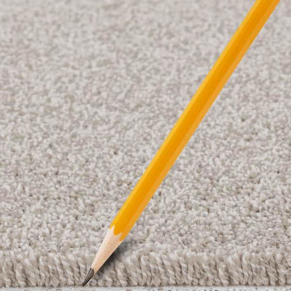 Tides Edge  - Biscuit - Brown 50 oz. Triexta Texture Installed Carpet