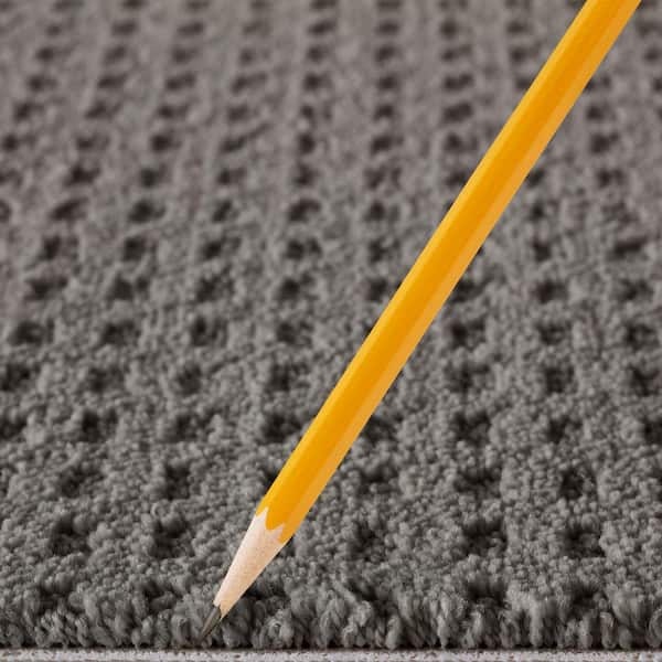 Canter  - Elemental - Gray 38 oz. Triexta Pattern Installed Carpet