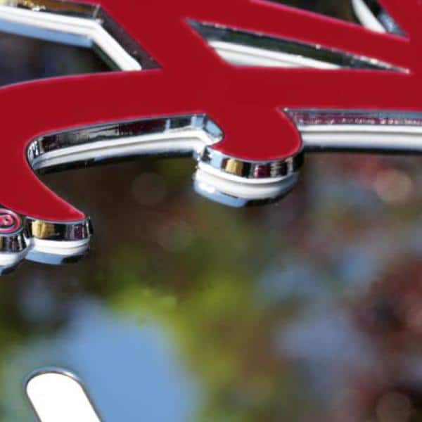 Las Vegas Raiders 3D Black License Plate