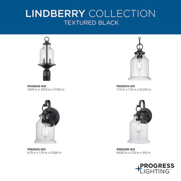 Lindberry 1-Light Textured Black Outdoor Pendant Light with Clear Glass