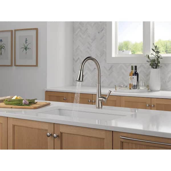 Banks Single-Handle Pull-Down Sprayer Kitchen Faucet with ShieldSpray in Stainless