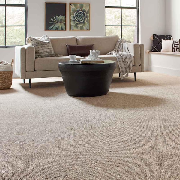 Hanville  - Tender Moment - Beige 27 oz. SD Polyester Loop Installed Carpet