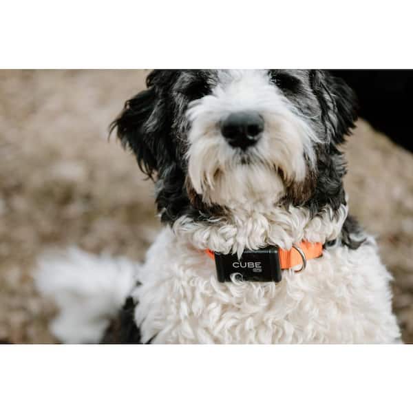 GPS Asset Tracker Anti-Theft Tracking Device