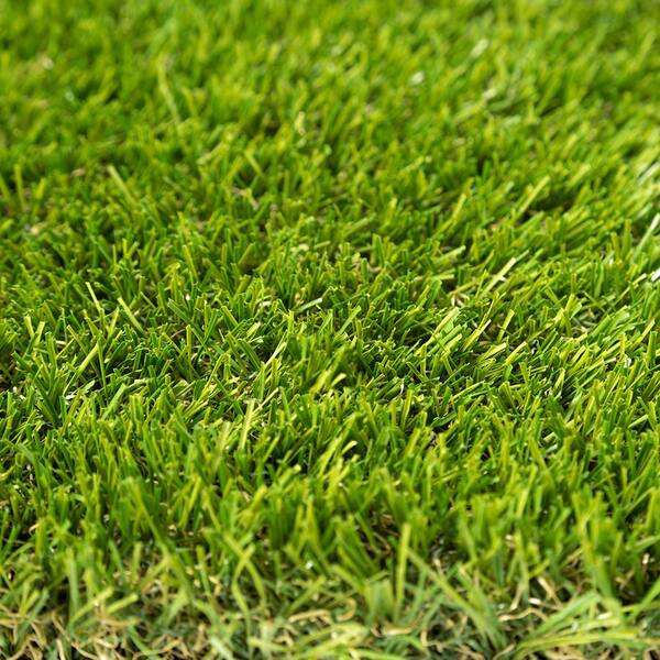 Eco 56 Silver + Field Green 12 ft. Wide x Cut to Length Green Artificial Grass Carpet