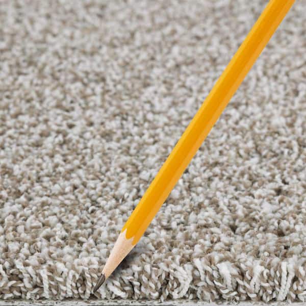 Barx II  - Paper Moon - Beige 56 oz. Triexta Texture Installed Carpet