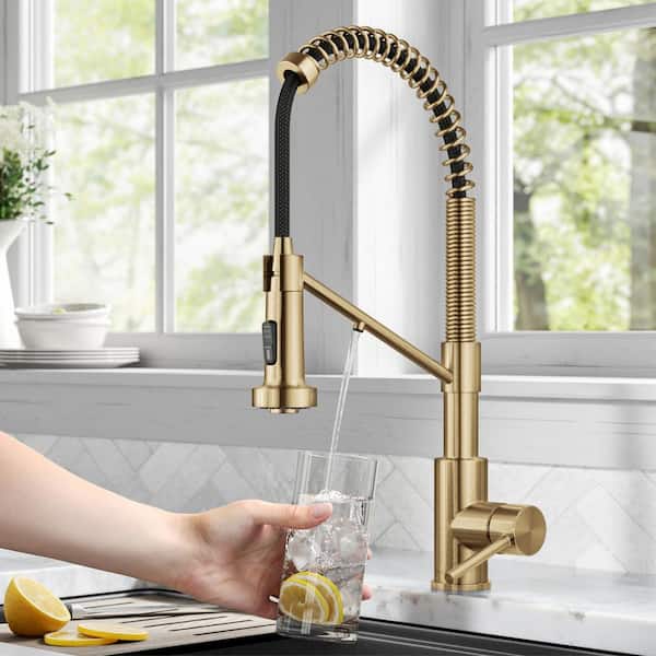 Bolden 2-in-1 Commercial Style Pull-Down Single Handle Water Filter Kitchen Faucet in Brushed Brass