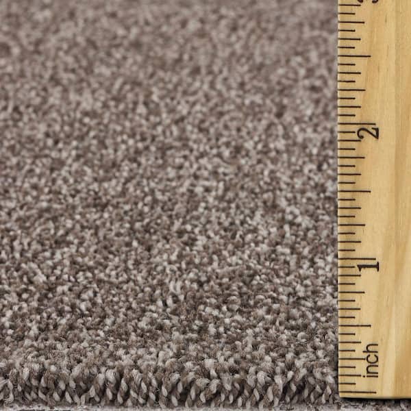 Still in Love I Coffee Brown 39 oz. Blend Texture Installed Carpet