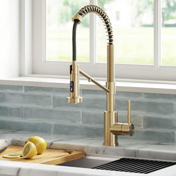 Bolden Single-Handle , Pull-Down Sprayer Kitchen Faucet Water Filtration System in Spot Free Antique Champagne Bronze