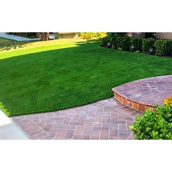Eco 108 Pine + Bamboo Green 15 ft. Wide x Cut to Length Green Artificial Grass Carpet