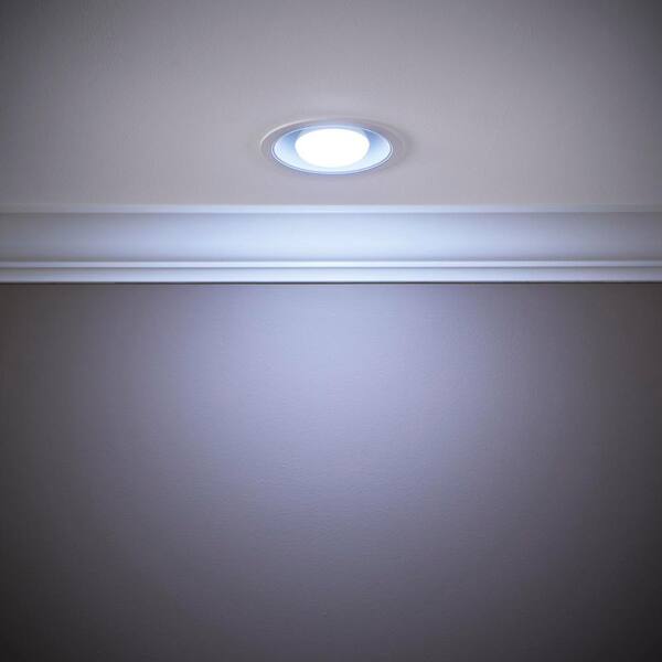 65-Watt Equivalent BR30 Dimmable Flood LED Light Bulb Daylight (12-Pack)