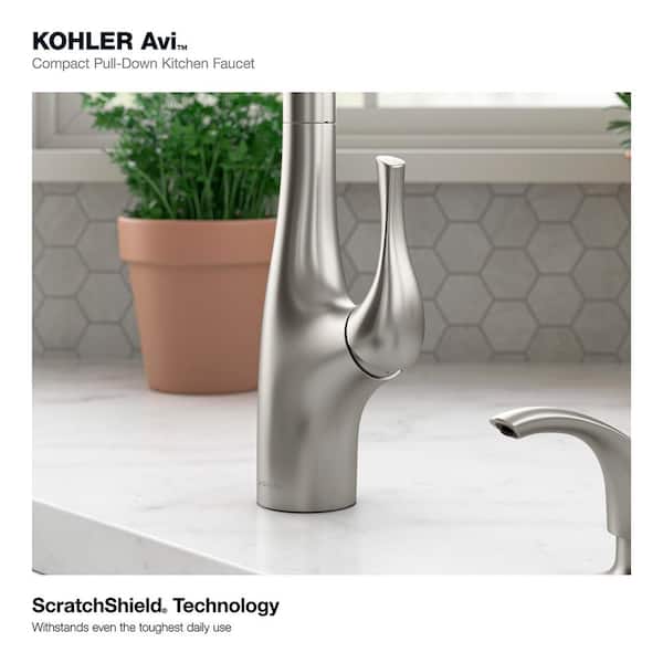 Avi Single-Handle Pull Out Sprayer Kitchen Faucet in Vibrant Stainless