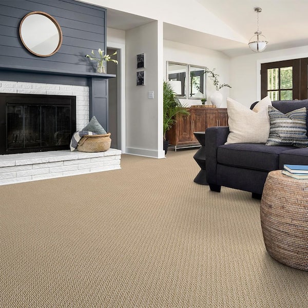 Lightbourne - Frosted Cookie - Brown 39.3 oz. Nylon Loop Installed Carpet