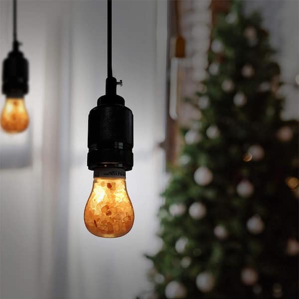 5-Watt Natural Salt Edison LED Night Light Bulb (6-Pack)