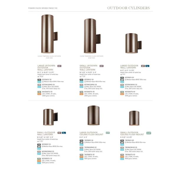 Wynfield Black 2-Light Outdoor Flush Mount