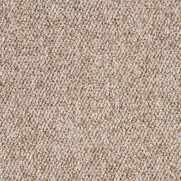 Hanville  - Southwest - Brown 27 oz. SD Polyester Loop Installed Carpet