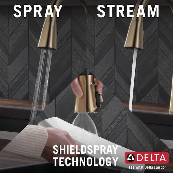 Lenta Single-Handle Pull-Down Sprayer Kitchen Faucet with ShieldSpray Technology in Champagne Bronze