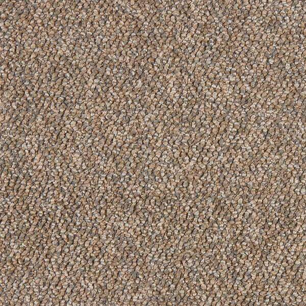 Hanville  - Salutation - Brown 27 oz. SD Polyester Loop Installed Carpet