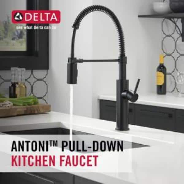 Antoni Single-Handle Pull-Down Sprayer Kitchen Faucet with Spring Spout in Matte Black