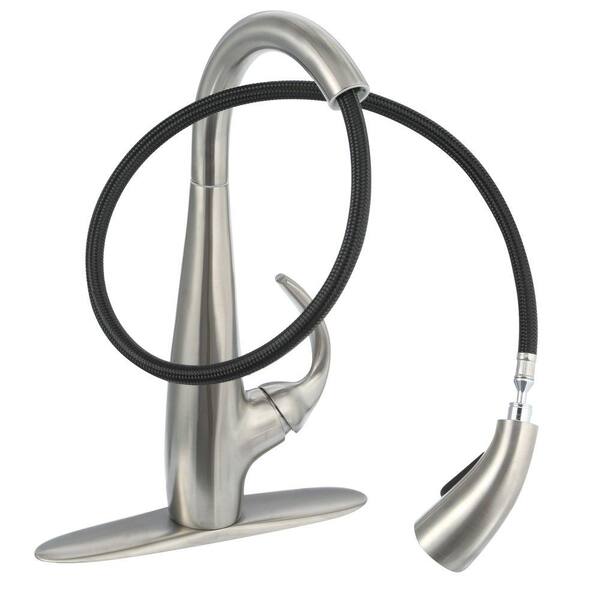 Avanti Single-Handle Pull-Down Sprayer Kitchen Faucet in Stainless Steel