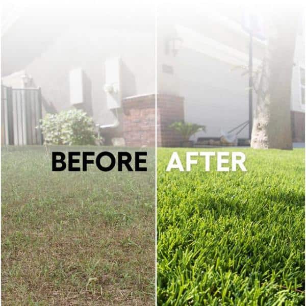 Verde 15 ft. Wide x Cut to Length Green Artificial Grass Carpet