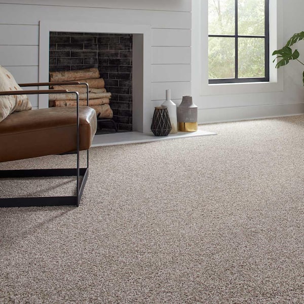 Barx II  - Paper Moon - Beige 56 oz. Triexta Texture Installed Carpet