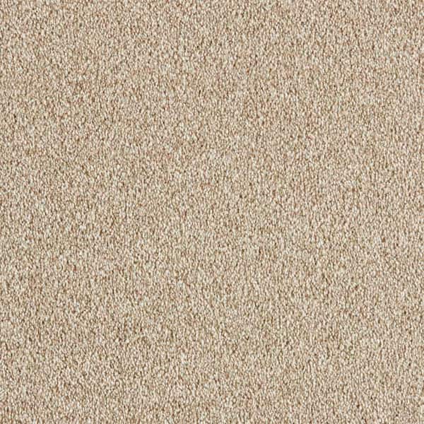 Tides Edge  - Praline - Beige 50 oz. Triexta Texture Installed Carpet