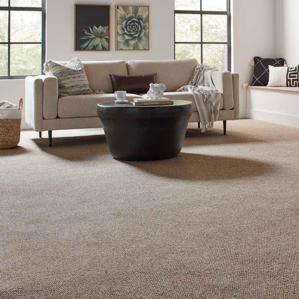 Hanville  - Gable - Brown 27 oz. SD Polyester Loop Installed Carpet